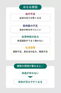 「冷え性のおもな原因」の説明画像。血行不良:血液の巡りが悪くなる / 筋肉量の不足:身体の熱を作りにくい / 自律神経の乱れ:体温調節がうまく働かない / 生活習慣:運動不足、食生活の乱れ、睡眠不足 / 複数の原因が重なると…体温が作れない→身体が冷えやすくなる