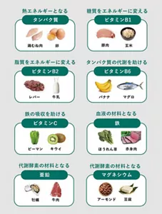 「意識したい栄養素」の説明画像。熱エネルギーとなるタンパク質:鶏むね肉、卵 / 糖質をエネルギーに変えるビタミンB1:豚肉、玄米 / 脂質をエネルギーに変えるビタミンB2:レバー、牛乳 / タンパク質の代謝を助けるビタミンB6:バナナ、マグロ / 鉄の吸収を助けるビタミンC:ピーマン、キウイ / 血液の材料となる鉄:ほうれん草、赤身肉 / 代謝酵素の材料となる亜鉛:牡蠣、牛肉 / 代謝酵素の材料となるマグネシウム:アーモンド、豆腐