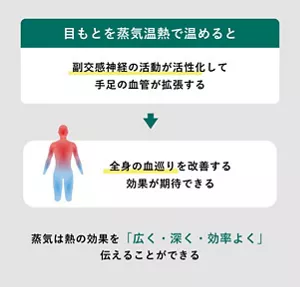 「蒸気は熱の効果を広く・深く・効率よく伝えることができる」の説明画像。目もとを蒸気温熱で温めると、副交感神経の活動が活性化して手足の血管が拡張する→全身の血巡りを改善する効果が期待できる