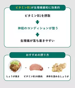 「神経の働きをサポートする「ビタミンB1」を摂る」の説明画像。ビタミンB1が生理痛緩和に効果的:ビタミンB1を摂取→神経のコンディションが整う→生理痛が落ち着きやすい / おすすめの摂り方:・しょうが焼き=ビタミンB1の豚肉+身体を温めるしょうが