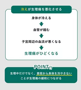 「冷えが生理痛を悪化させる仕組み」の説明画像。身体が冷える→血管が縮む→子宮周辺の血流が悪くなる→生理痛がひどくなる / POINT:生理中だけでなく、普段から身体を冷やさないことが生理痛の緩和につながる