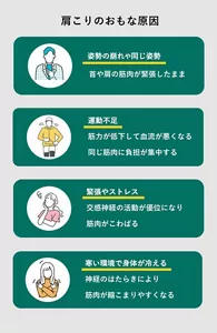 「肩こりのおもな原因」の説明画像。姿勢の崩れや同じ姿勢:首や肩の筋肉が緊張したまま / 運動不足:筋力が低下して血流が悪くなる、同じ筋肉に負担が集中する / 緊張やストレス:交感神経の活動が優位になり筋肉がこわばる / 寒い環境で身体が冷える:神経のはたらきにより筋肉が縮こまりやすくなる