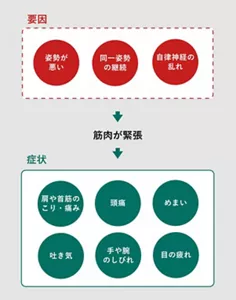 「肩こりと一緒に起きる症状」の説明画像。要因:姿勢が悪い、同一姿勢の継続、自律神経の乱れ→筋肉が緊張→症状:肩や首筋のこり・痛み、頭痛、めまい、吐き気、手や腕のしびれ、目の疲れ