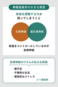 寒暖差疲労の原因を説明する画像 / 体温を調整する力が弱ってしまうこと / 体温をコントロールしているのが自律神経 / 自律神経のリズムが乱れる原因:寝不足・不規則な生活 ・慢性的なストレス ※一部抜粋