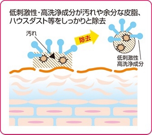低刺激性・高洗浄成分が汚れや余分な皮脂、ハウスダスト等をしっかりと除去