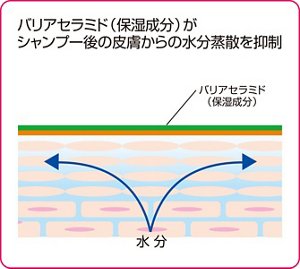 バリアセラミド(保湿成分)がシャンプー後の皮膚からの水分蒸散を抑制