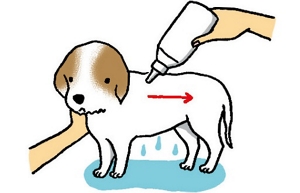 シャンプー液をつけるイメージイラスト