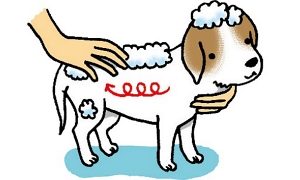 泡立てて洗うイメージイラスト