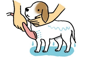 すすぐイメージイラスト