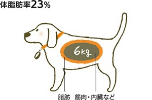 適正体重のイメージイラスト