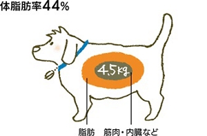 肥満状態のイメージイラスト