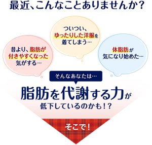 最近、こんなことありませんか? 「昔より、脂肪が付きやすくなった気がする…」「ついつい、ゆったりした洋服を着てしまう…」「体脂肪が気になり始めた…」 そんなあなたは… 脂肪を代謝する力が低下しているのかも!? そこで!