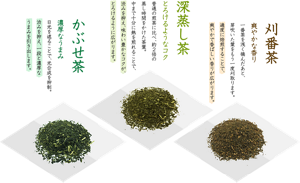 刈番茶:爽やかな香り。一番茶を浅く摘んだあと、芽吹いた葉をもう一度刈取ります。適度に焙煎することで、爽やかで香ばしい香りが広がります。/深蒸し茶:とろけるようなコク。普通の煎茶に比べ、約2倍の蒸し時間をかけた茶葉。中まで十分に熱を煎れることで、渋みを抑え、味わい豊かなコクが、とろけるように広がります。/かぶせ茶:濃厚なうまみ。日光を遮ることで、光合成を抑制。渋みを抑え、一段と濃厚なうまみを引き出します。
