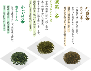 刈番茶:爽やかな香り。一番茶を浅く摘んだあと、芽吹いた葉をもう一度刈取ります。適度に焙煎することで、爽やかで香ばしい香りが広がります。/深蒸し茶:とろけるようなコク。普通の煎茶に比べ、約2倍の蒸し時間をかけた茶葉。中まで十分に熱を煎れることで、渋みを抑え、味わい豊かなコクが、とろけるように広がります。/かぶせ茶:濃厚なうまみ。日光を遮ることで、光合成を抑制。渋みを抑え、一段と濃厚なうまみを引き出します。