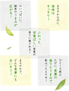 まろやかで、どんな食事にも合いそう!/まろやかなのに、後味はすっきり!/口いっぱいに、緑茶のうまみが広がる!/ひとくち飲むたびに、茶葉の香りとうまみで、飲みごたえ十分!/ふわっと、甘香ばしい茶葉の香りに癒される!