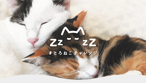 #とろねこチャレンジ