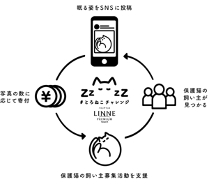 #とろねこチャレンジイメージ