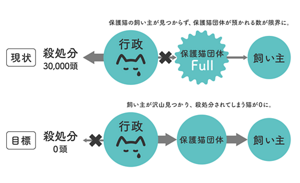 殺処分の現状と目標