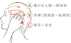 STEP 02 A 額の生え際〜頭頂部 B 耳横(側頭部〜後頭部) C 襟足〜毛先