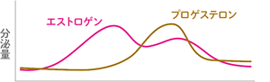 2種類の女性ホルモン「エストロゲン」と「プロゲステロン」が交互に大きく増減している事が分かる曲線グラフ。