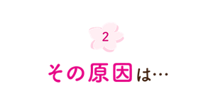 2. その原因は…