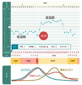 一般的な基礎体温表のパターンイメージ。