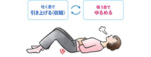 呼吸とインナーマッスルを連動させて骨盤底筋を動かすイメージ。吐く息で引き上げ(収縮)、吸う息でゆるめる。