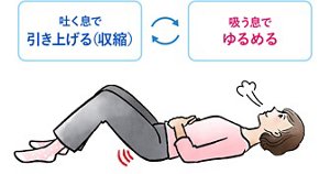 呼吸とインナーマッスルを連動させて骨盤底筋を動かすイメージ。吐く息で引き上げ(収縮)、吸う息でゆるめる。