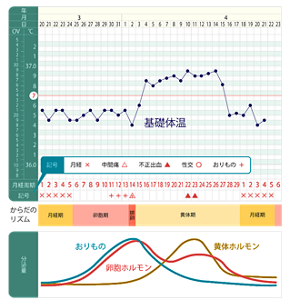 基礎体温表のイメージ。