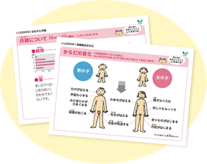思春期のからだの変化や月経のしくみなどをまとめた教材のイメージ。