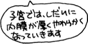 子宮では、しだいに内膜が厚くやわらかくなっていきますとの吹き出し。