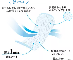 きれいスタイルのシートのイメージ。 特長1、おりものをしっかり閉じ込めて10時間さらさら長続き。 特長2、表面はふんわりキルティング仕上げ。 特長3、薄さ1mm吸収シート。 特長4、全面通気性シートでムレにくい。長さ14㎝。