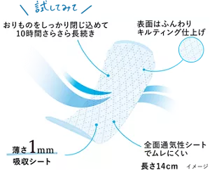 きれいスタイルのシートのイメージ。 特長1、おりものをしっかり閉じ込めて10時間さらさら長続き。 特長2、表面はふんわりキルティング仕上げ。 特長3、薄さ1mm吸収シート。 特長4、全面通気性シートでムレにくい。長さ14㎝。