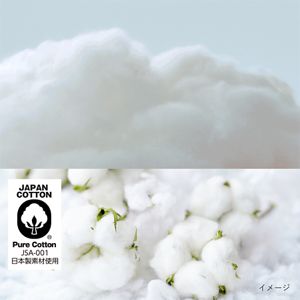 コットンのイメージ。コットンの柔らかさを表現している。