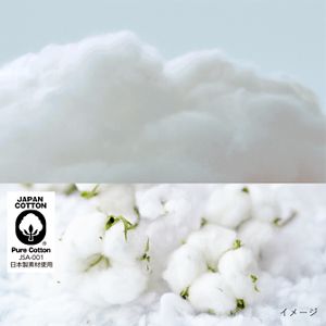 コットンのイメージ。コットンの柔らかさを表現している。