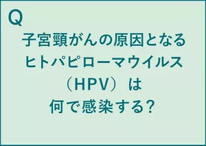 Q.子宮頸がんの原因となるヒトパピローマウイルス(HPV)は何で感染する? A.HPVは性交渉で感染する(※1)