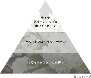 香りのイメージ トップノート:ライチ、グリーンアップル、ホワイトピーチ ミドルノート:ホワイトフローラル、サボン ラストノート:ホワイトムスク、ウッディ