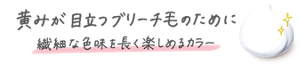 黄みが目立つブリーチ毛のために 繊細な色味を長く楽しめるカラー