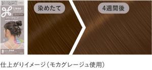 仕上がりイメージ(モカグレージュ使用)