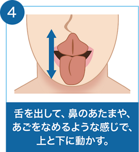 ④舌を出して、鼻のあたまや、あごをなめるような感じで、上と下に動かす。