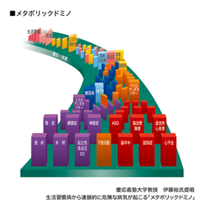 メタボリックドミノのイメージ図