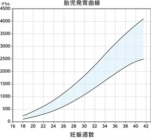 胎児発育曲線のグラフ