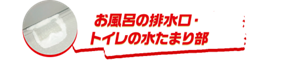 お風呂の排水口・トイレの水たまり部