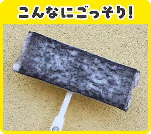 こんなにごっそり!