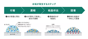 水垢が発生するステップ:付着 ❶水が表面に残る → 濃縮 ❷水が蒸発して乾燥し、成分が濃縮 → 結晶析出 ❸濃縮成分が結晶化 → 固着 ❹基材と結晶が一体化して固着