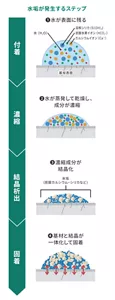 水垢が発生するステップ:付着 ❶水が表面に残る → 濃縮 ❷水が蒸発して乾燥し、成分が濃縮 → 結晶析出 ❸濃縮成分が結晶化 → 固着 ❹基材と結晶が一体化して固着