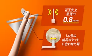 花王史上最薄の0.8mm/1本分の歯周ポケットに合わせた幅