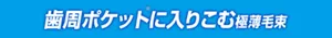 歯周ポケット(※)に入りこむ極薄毛束
