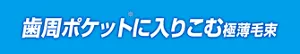 歯周ポケット(※)に入りこむ極薄毛束