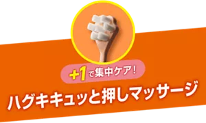 +1で集中ケア! ハグキキュッと押しマッサージ